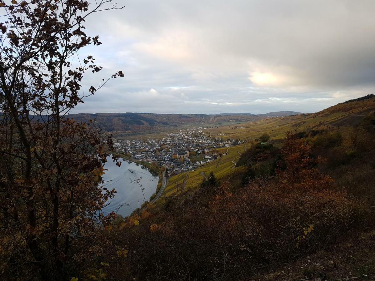 Gaestehaus Steuer Kröv Eksteriør billede